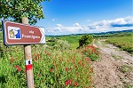 Via Francigena Jeden z najstarszych szlaków pielgrzymkowych